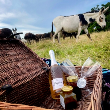 Donkey Picnic for Two at Dashing Donkeys