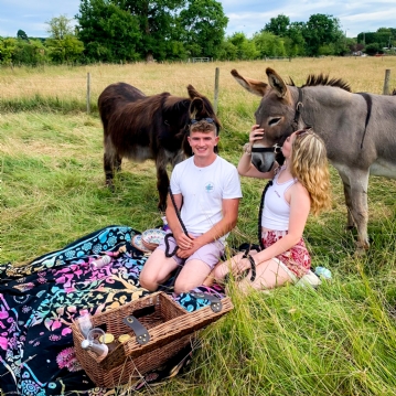 Donkey Picnic for Two at Dashing Donkeys