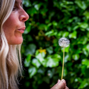 Meditation & Yoga Retreat Day at Synergy Experiences