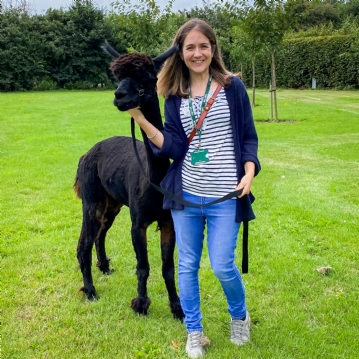 Meet & Greet the Alpacas