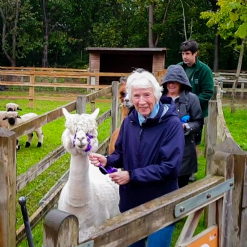 Meet & Greet the Alpacas