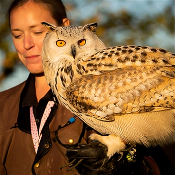 VIP Experience for Two at Eagle Heights Wildlife Foundation