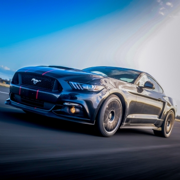 Mega Choice for Adrenaline & Sport
