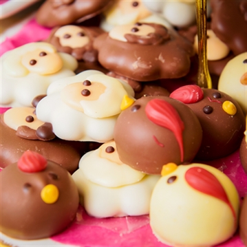 Chocolate Tasting for Two