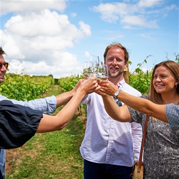 Tour and Tasting for Two at Chapel Down Vineyard