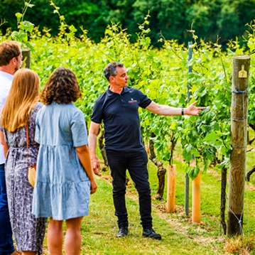 Tour and Tasting for Two at Chapel Down Vineyard