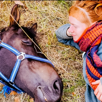 2 Hour Private Meditation Session with Horses for Two