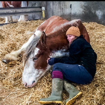 2 Hour Private Meditation Session with Horses for Two