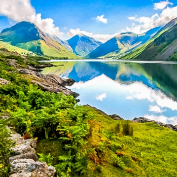 2 Hour Private Meditation Session with Horses for Two