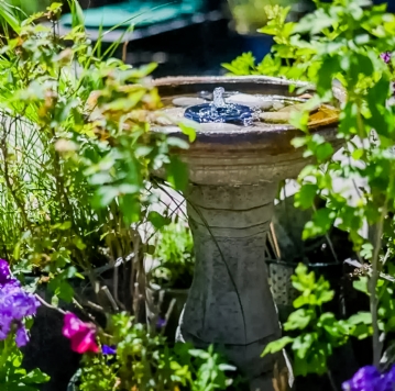 Twilight Spa and Treatment for Two at Natural Light