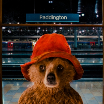 Paddington Walking Tour for Four