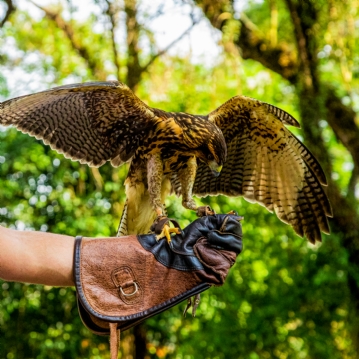 Bird Photography Experience 