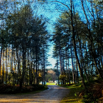 Two Night Glamping Pod Escapes at Sherwood Forest