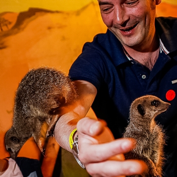 Meerkat and Lemur Experience for Two