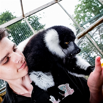 Meerkat and Lemur Experience for Two