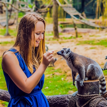 Meerkat and Lemur Experience for Two