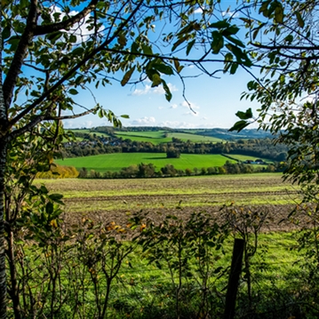 Alpaca Trekking Experience for Two at Eagle Heights Wildlife Foundation
