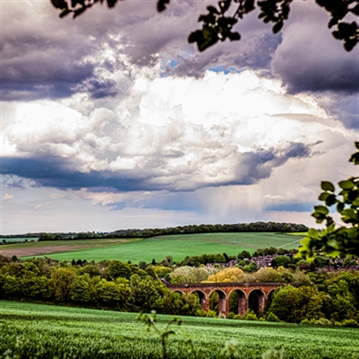 Alpaca Trekking Experience for Two at Eagle Heights Wildlife Foundation