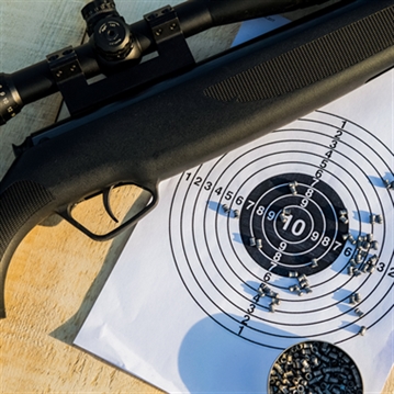 Air Rifle Shooting for Two
