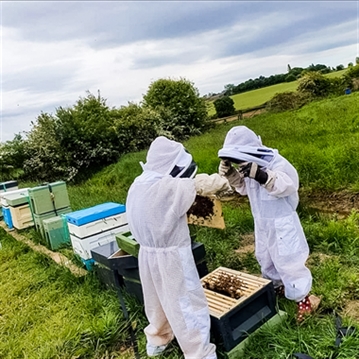 Half Day Beekeeping Experience For Two at More Bees Please 