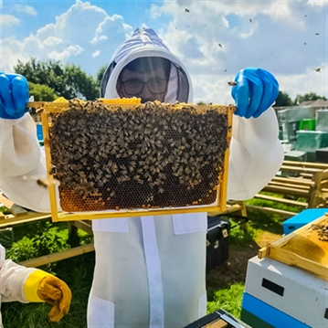 Half Day Beekeeping Experience For Two at More Bees Please 