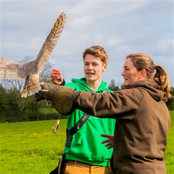 Hawk Walk Experience