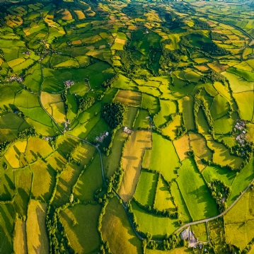 Wild Pig Hot Air Balloon Flight with Champagne for One Person