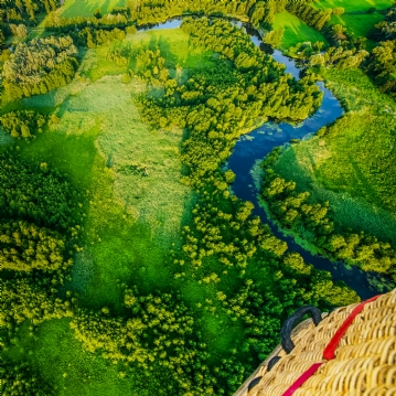 Wild Pig Hot Air Balloon Flight with Champagne for One Person