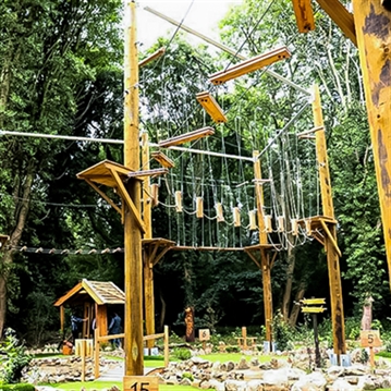 High Ropes and Zip Wire for Four