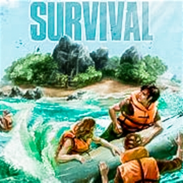 Simulator Choices Experience