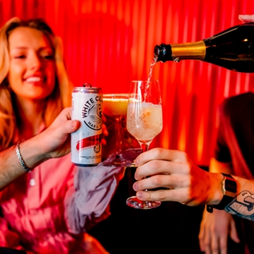 Ballie Ballerson Ball Pit Experience for Four