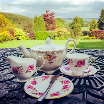 Afternoon Tea for Two at Falcondale Country Hotel