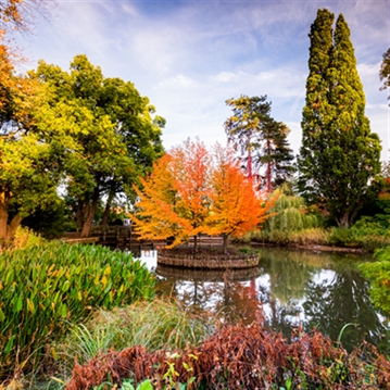 Entrance to RHS Garden Wisley & Afternoon Tea for Two