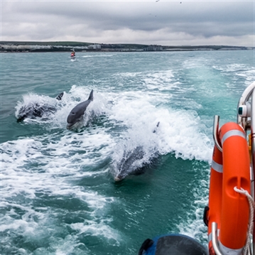 30 Minute Powerboat Ride Experience