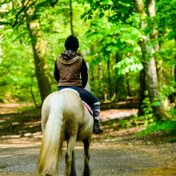 Exmoor Two Night Escape for Two