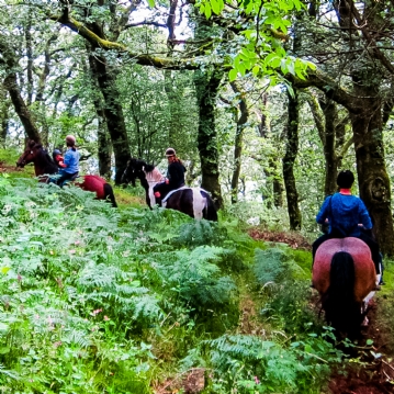 Exmoor Two Night Escape for Two