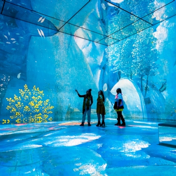 FRAMELESS Immersive Art Experience & 2 Course Meal