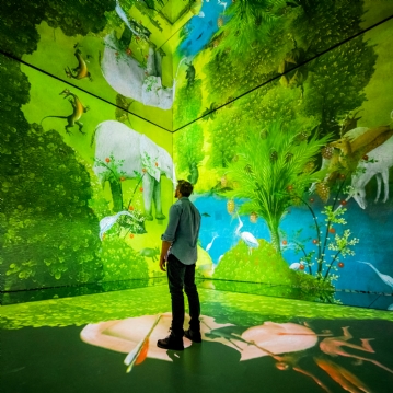 FRAMELESS Immersive Art Experience & 2 Course Meal