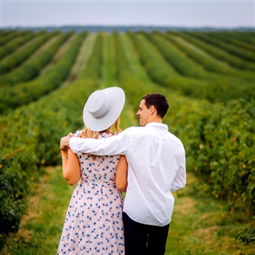 Tour and Tasting for Two at The Velfrey Vineyard