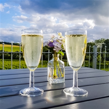 Tour and Tasting for Two at The Velfrey Vineyard
