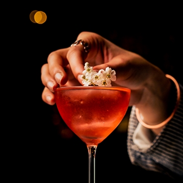 Cocktails and Nibbles at Map Maison