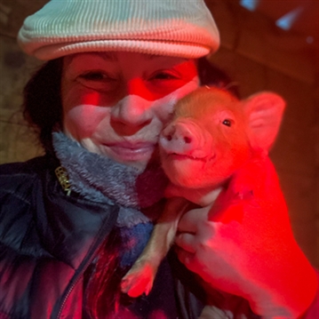 Meet the Pigs for Two