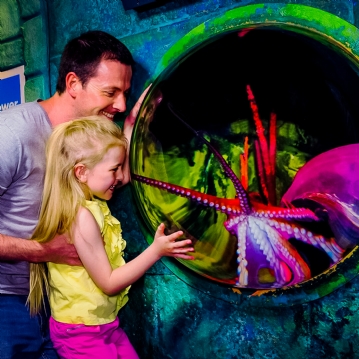 Family Entrance to SEA LIFE London Aquarium & Meal at Las Iguanas