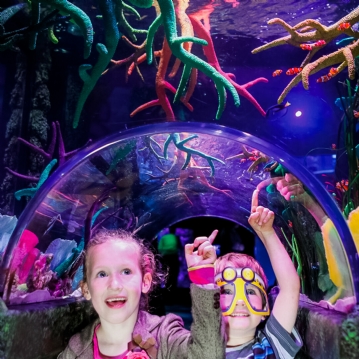 Family Entrance to SEA LIFE London Aquarium & Meal at Las Iguanas