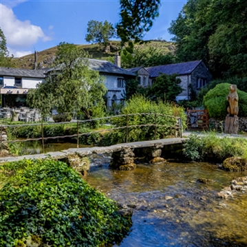 Vegan Afternoon Tea with a Glass of Fizz