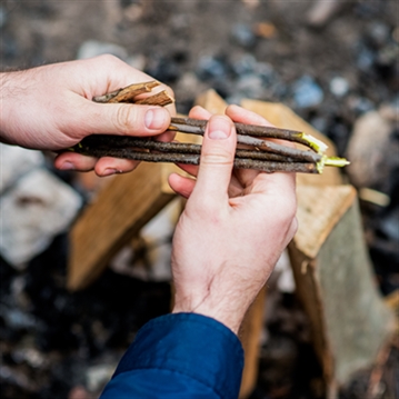 Introduction to Bushcraft
