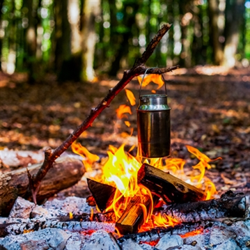 Introduction to Bushcraft