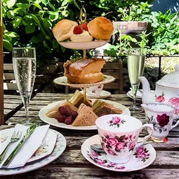 Dog Friendly Afternoon Tea for Two