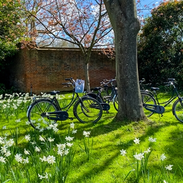 Windsor Castle Bike Tour for Two