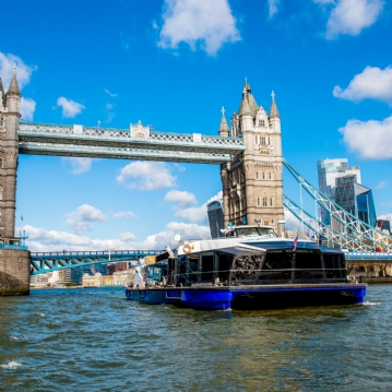Royal Museum Greenwich Day Pass and Hop on Hop off Boat for Two